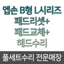엡손 B형 L시리즈 패드리셋+패드교체+헤드수리 풀세트 수리 무한리필잉크, 1개