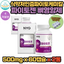 식약처인증 파이토케미칼 이소플라본 파이토젠 파이토잰 뼈영양제 60캡슐 2통 4개월분