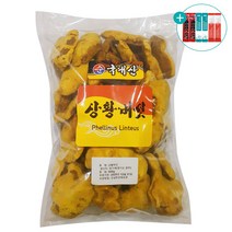 국내산 상황버섯 분말 100% 국산 장수 상황 버섯 베타글루칸 에너지 물 진액 차 가루 선물세트 실속형 대용량, 원물 500g