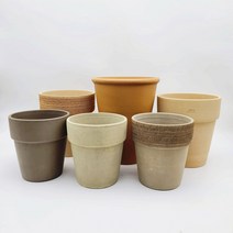 제이팟다육 이태리 토분 디그리아 바소 알토, 아레나 소보로