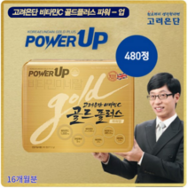 비타민C 골드플러스 업그레이드 파워업 고려은단 16개월분 480정 면역 건강기능식품, 1130mg x 1박스, 1개