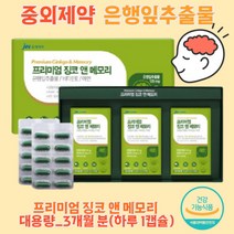 기억력감퇴 은행잎추출물 징코엔 뇌건강 기억력 개선, 징코앤메모리 30캡슐 3박스_3개월분