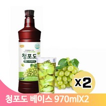 감식초 청포도 원액 970mlx2 베이스 음료 카페 요거트