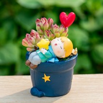ROOGO 루고 화분 어린 왕자 꿀잠