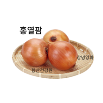 헛개열매양파즙100포 혈관팔팔 관절팔팔 혈액순환 감기 당뇨 면역력강화 엄마 아빠선물 콜레스트롤, 500포
