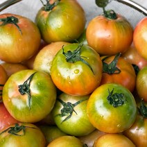 부산 대저농협 프리미엄 으뜸토마토 단짠단짠 짭짤한 토마토, 으뜸토마토 중과[M사이즈] 2.5kg