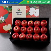 [미소드림] 대구경북능금농협 프리미엄 사과 선물세트 5kg(16과내), 단품