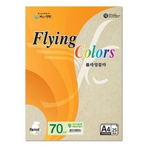삼원특수지 25매입 플라잉칼라 10개 70g 용 A4 얼스팩 Pk02 색상 0W9147BA, 1개, 1개