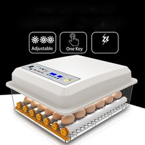 닭 사육 스마트 64pcs 완전 자동 인큐베이터 가정용 계란 육추기 농장 새 인큐베이터, au 플러그
