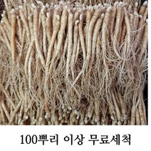 삼계탕용 갈비탕용 작은 실삼계 무료세척 실속형 100뿌리이상, 잔삼계750g(100-150뿌리), (세척해주세요O)