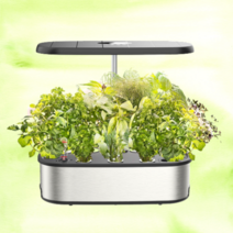 친환경 수경 식물 재배기 스마트팜 상추 키우기 플랜테리어, 스틸 그레이