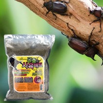 곤충사육매트 소라게키우기 곤충키우기 엑소테라사육장