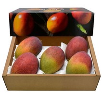 제주 애플망고(왕특대) 3kg(5~6과), 단품