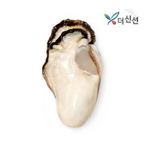 [더신선] 통영 생굴 1kg / 산지직송, 단품