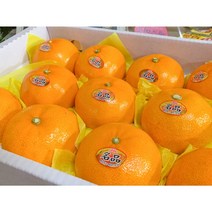 허니삼구 새콤달콤 고당도 천혜향 3KG 5KG, 3KG내외(13-17과)
