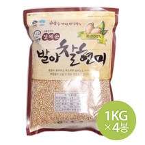참쌀닷컴 장세순 발아찰현미 4kg (1kg x 4봉)