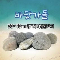 정원석 바닷가돌 강자갈 자연석 조경 원예 수족관 장식 어항 돌 10kg
