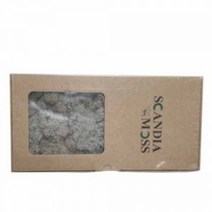 천연이끼 스칸디아모스 실버그레이(500g) - 공기정화 기능 관리쉽고 그늘에서도 잘 자라는 인테리어 식물 취미 원데이 클래스 디퓨저 화분 만들기(2개 이상 주문배송)