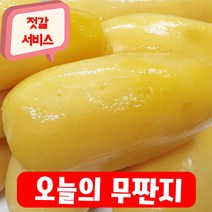 건영푸드 무짠지 국내산 4kg 오독오독 칼칼한 밥도둑 짠지무침, 1봉