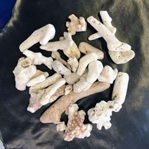 산호석 400-450g 믹스 / 화분인테리어 데코레이션