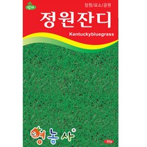 정원잔디 씨앗 30g 양잔디 산소/정원/공원/ 용, 1개