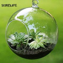 12pc 6/8cm 투명 공 글로브 모양 취소 교수형 유리 꽃병 꽃 식물 테라리움 컨테이너 마이크로 풍경 DIY 웨, [02] 10cm flat bottom, 02 10CM flat bottom