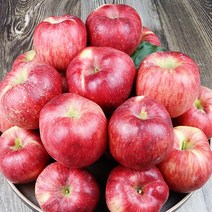 사과선물용부사 청송꿀사과 청송사과유명한곳, 고급 선물용 5kg