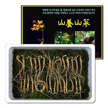 삼바이 산양산삼 5-6년근 작은삼(소삼) 30뿌리 선물세트 산삼 산양삼 장뇌삼 인삼 면역력 기력보강 설날 추석 설선물 설명절 추석선물 추석명절 명절선물, 단품없음