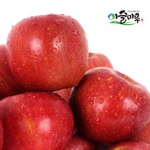 [이슬마루] 경북의성 사과 흠과 부사 10kg(40~50과), 단품