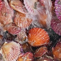 [통영직송] 살이꽉찬 남해안 홍가리비 대왕 제철 세척 1kg 새로푸드, 가을겨울 제철 홍가리비 1kg (20~25미 내외)