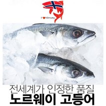 (특가할인중)노르웨이 고등어 순살팩, 노르웨이고등어3KG 120-140G 22팩