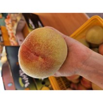<조치원 복숭아> 알아서 맛있는 걸로 보내줘 채아달카세 복숭아 4KG, 대과(11-13), 1개” class=”wr-img”></a></div>
</p></div>
</p></div>
</p></div>
<div class=