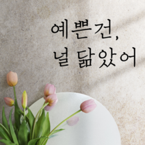 더굿데이 감성문구B100시리즈 매장 홈데코 벽면 꾸미기 데코 글자컷팅 스티커, 3예쁜건널닮았어(블랙)