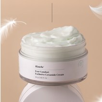 에버컴포트 익스클루시브 부활초 선인장 미백크림 80g