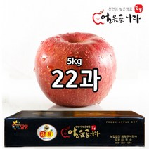 스노우애플 밀양얼음골사과 5kg / 금황사과 부사, 1박스, 5kg 22과