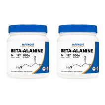 베타-알라닌 파우더 500g 2병, 2개