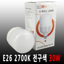 룩스누리 LED 30W U램프 전구 E26 벌브 전구색, 1개, 전구색 (30W)