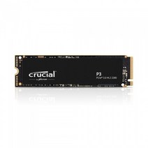 마이크론 Crucial P3 대원씨티에스 (2TB), 1