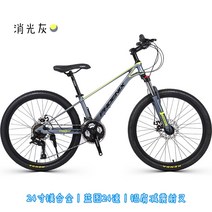 일반 로드 자전거 피닉스 산악 마그네슘 합금 초경량 242627.5 인치 가변 속도, 24인치, 24인치 매트 그레이, 24단