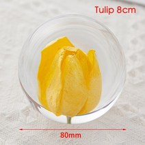 수정구 자수정 크리스탈 유리 수지 렌즈 볼 7cm 8cm 민들레 레드 데이지 카네이션 튤립 엄마 꽃 메이플 리프 구 스탠드 선물 상자 글로브, [01] Ball With Bag, [09] Style J