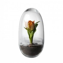 북유럽 디자인하우스스톡홀름 Design House Stockholm 그로우 그린하우스 Medium