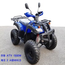 솔바이크 전동ATV 1500W 전기ATV 전동 스쿠터 삼륜 전기전동, 파랑색