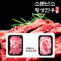 횡성한우 어사품 구이선물세트 안심(500g) + 차돌박이(500g) 총 1.0kg 1등급, 안심(500g) 차돌박이(500g) 1.0kg