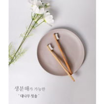 친환경 대나무칫솔 미세모 생분해 제로웨스트 선물세트 판촉용품, 1베이지