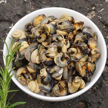 제주 보말 자연산 보말살 300g, 제주 보말살(300g) 2개