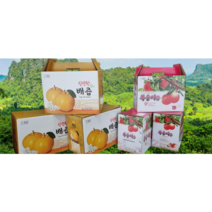 조치원 배즙 복숭아즙 120ml 50포 100포, 배즙100개