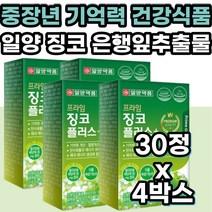 40대 50대 뇌건강 기억력 개선 은행잎 플라보놀배당체 징코 혈액순환 혈행 개선 고함량 뇌 두뇌 영양제 인지력 에 좋은 영양제 부모님 수험생 고등학생 청소년 노인 시니어 고시생