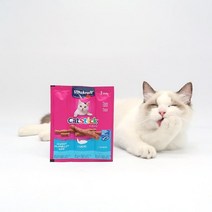 비타크래프트 캣 스틱 간식 3p, 연어, 6개