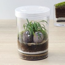이끼 애란 테라리움 만들기 DIY 키트, 이끼 애란 테라리움 아크릴10