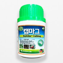 캡마그 200ml 고효율 칼슘 고토 붕소 복합 액제 영양제 코리아아그로, 단품